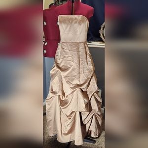 Soft tan Davids bridal gown